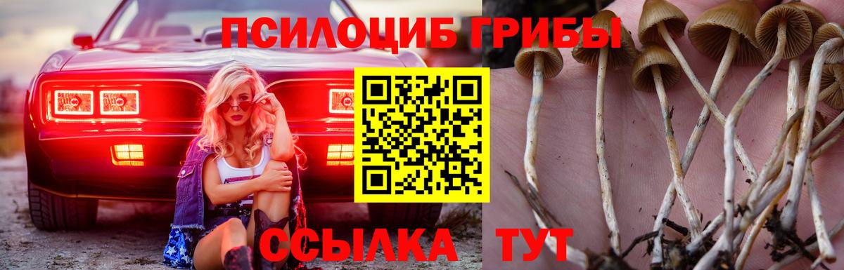 Псилоцибиновые грибы ЛСД  Вход с VPN  Галлюциногенные грибы Magic Shrooms  сколько стоит  Мегион 