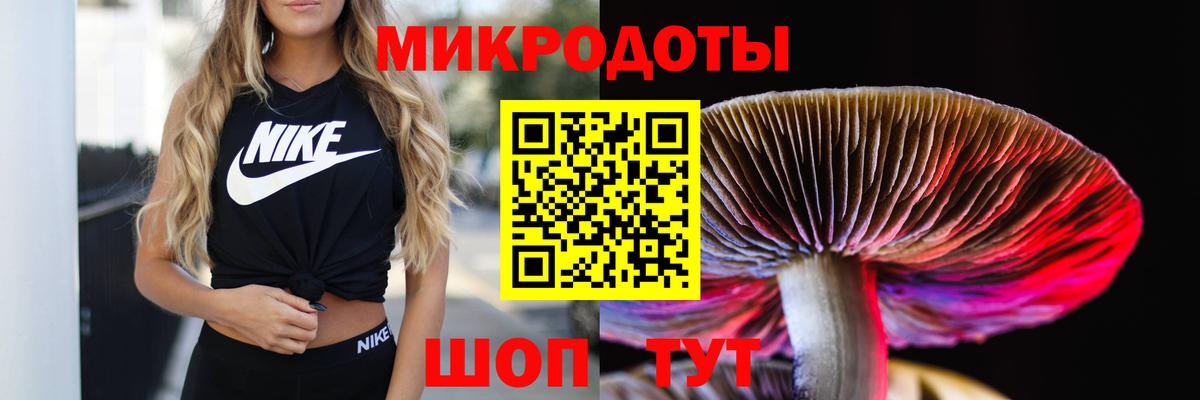 Галлюциногенные грибы мухоморы Мегион